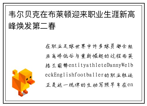 韦尔贝克在布莱顿迎来职业生涯新高峰焕发第二春 韦尔贝克在布莱顿迎来职业生涯新高峰焕发第二春